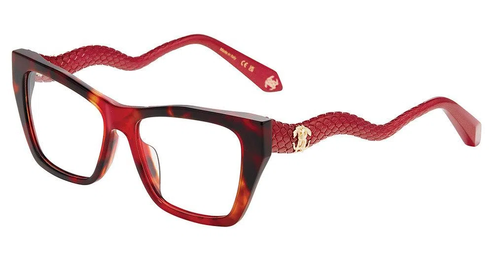 Roberto Cavalli VRC117M Eyeglasses - view 3